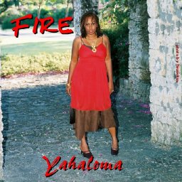 Tweepleblog/Twitter.com Reviews "Fire"