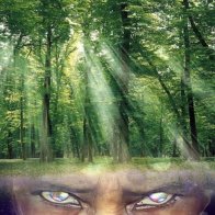 If You Can Feel It It Is Real